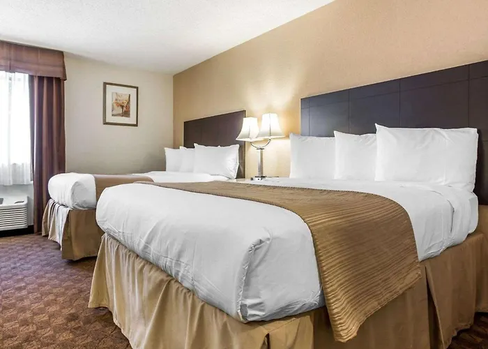 Quality Inn&Suites Coliseum