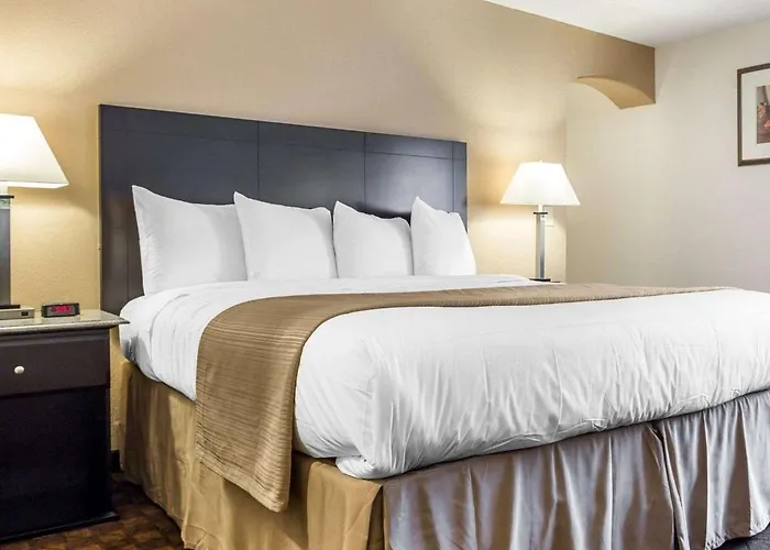 Quality Inn&Suites Coliseum
