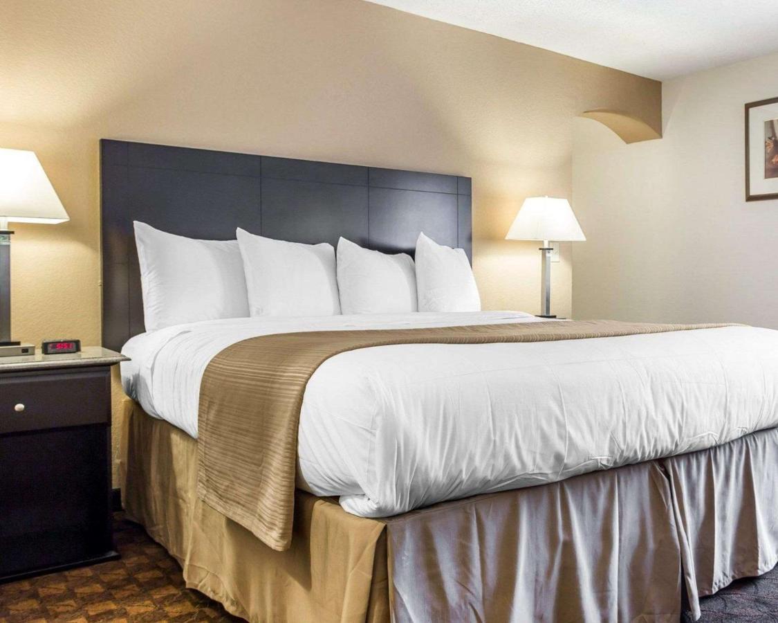Quality Inn&suites Coliseum 2*