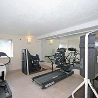 Quality Inn&suites Coliseum